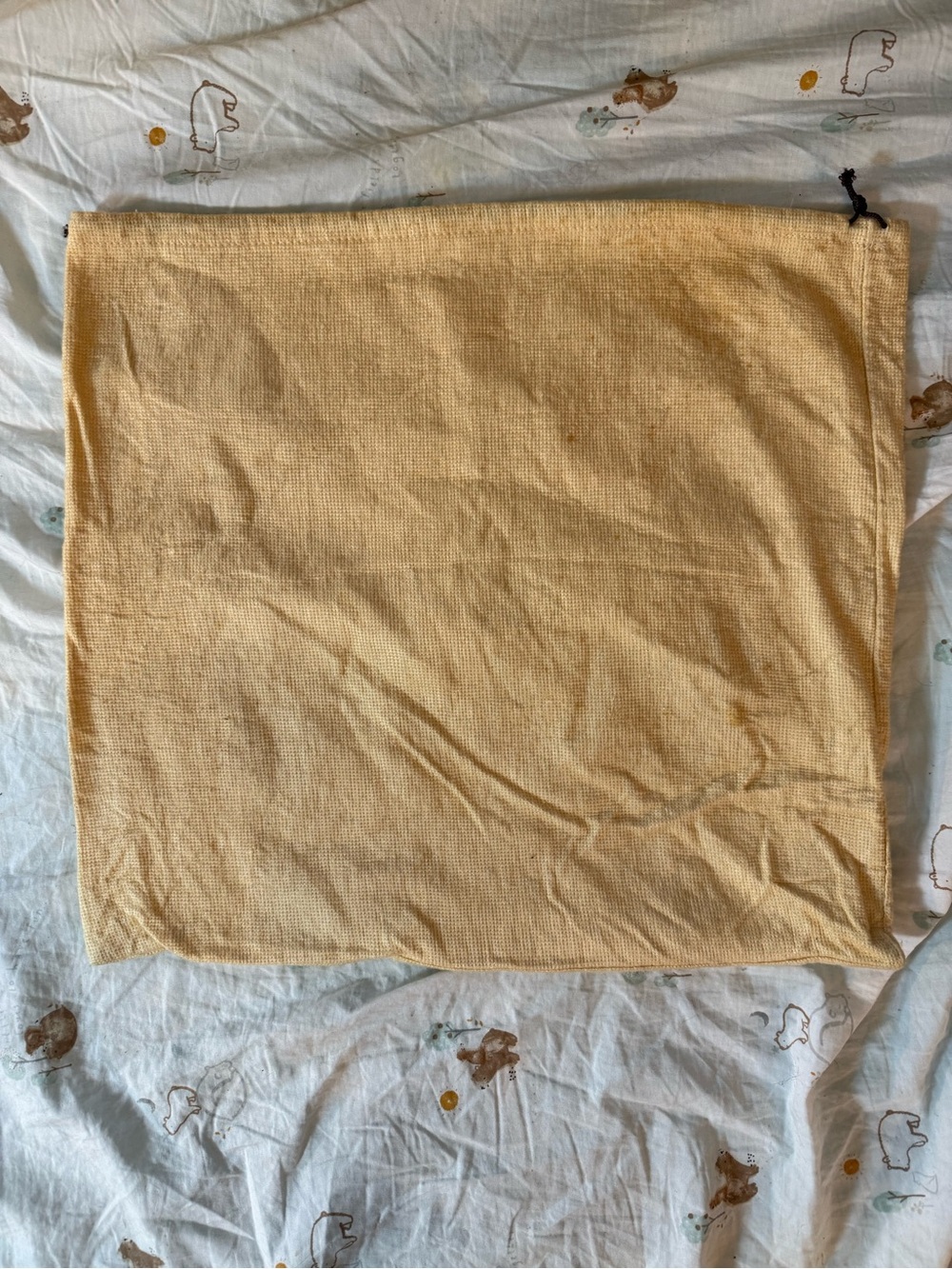 Etro Beige Dust Bag with Black Logo - Picture 4 of 6